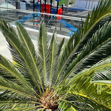 Apartamento Studiou Next By The Sea Alezzi N10