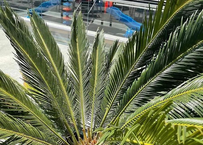 Appartement Studiou Next By The Sea Alezzi N10